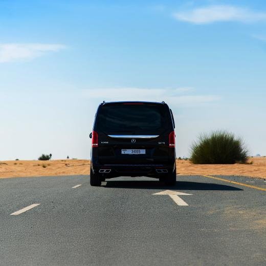 Mercedes V250 VIP Falcon Edition
